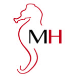 Logotip icona horitzontal amb fons